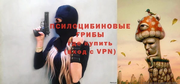 гидра Баксан